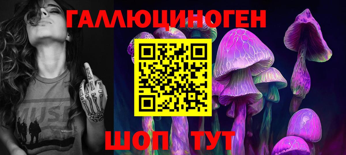 наркотики  Вход с VPN  Советск  Псилоцибиновые грибы GOLDEN TEACHER 