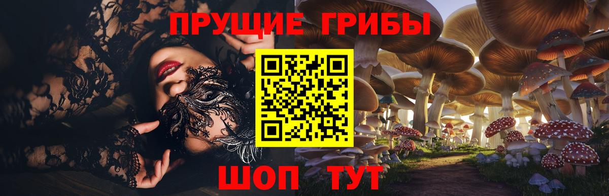 Галлюциногенные грибы MAGIC MUSHROOMS Советск
